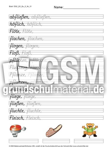 DSS_2S_Bu_fl_Nr_01.pdf